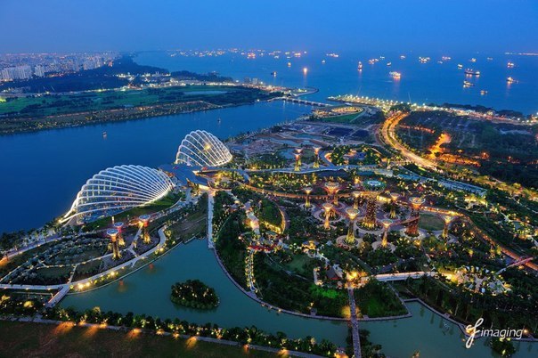 Chic night Singapore - 8