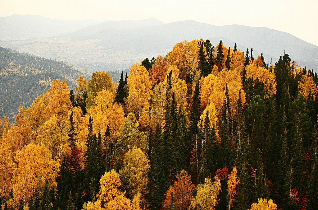 Алтай, Россия - 6