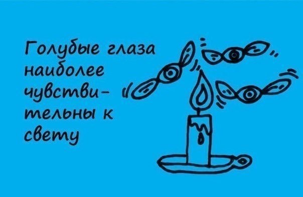 Занимательные факты в картинках