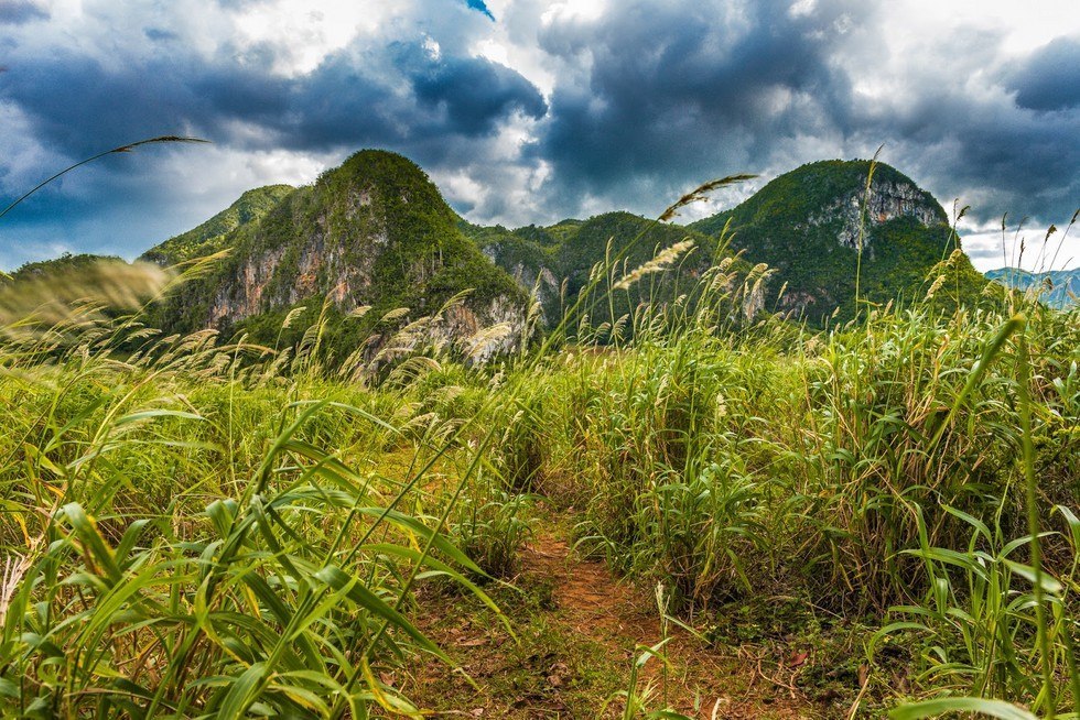 Долина Виньялес. Куба - 8