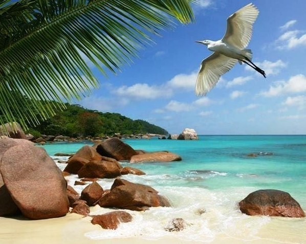 Бора-Бора - 8