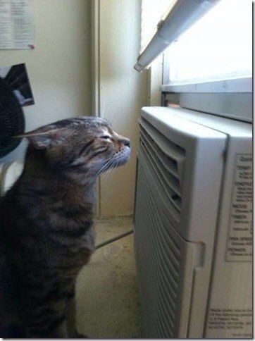 Ты понимаешь, что на улице жара, когда - 7