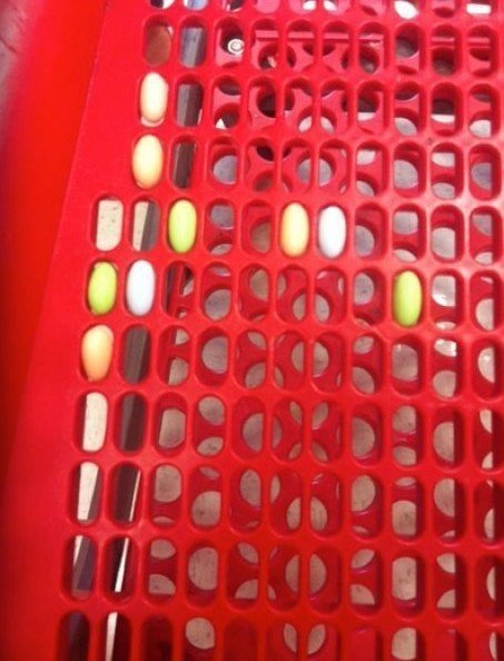 Когда мир вокруг тебя идеален.<br>При просмотре этих картинок возникает чувство истинного блаженства и гармонии - 5