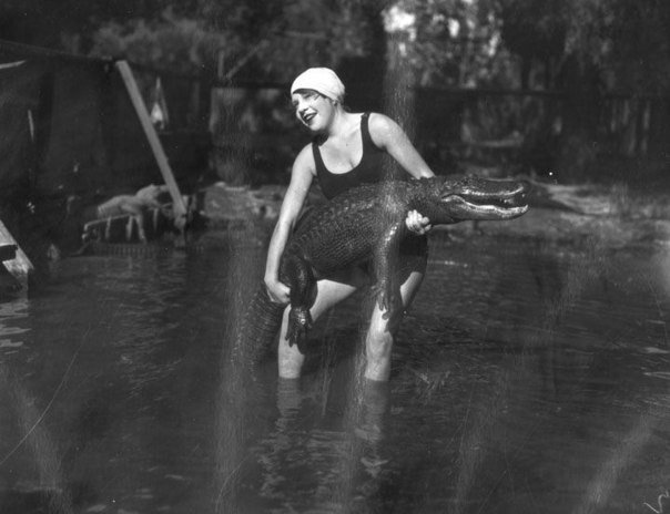 1920 год: Ферма аллигаторов - 8
