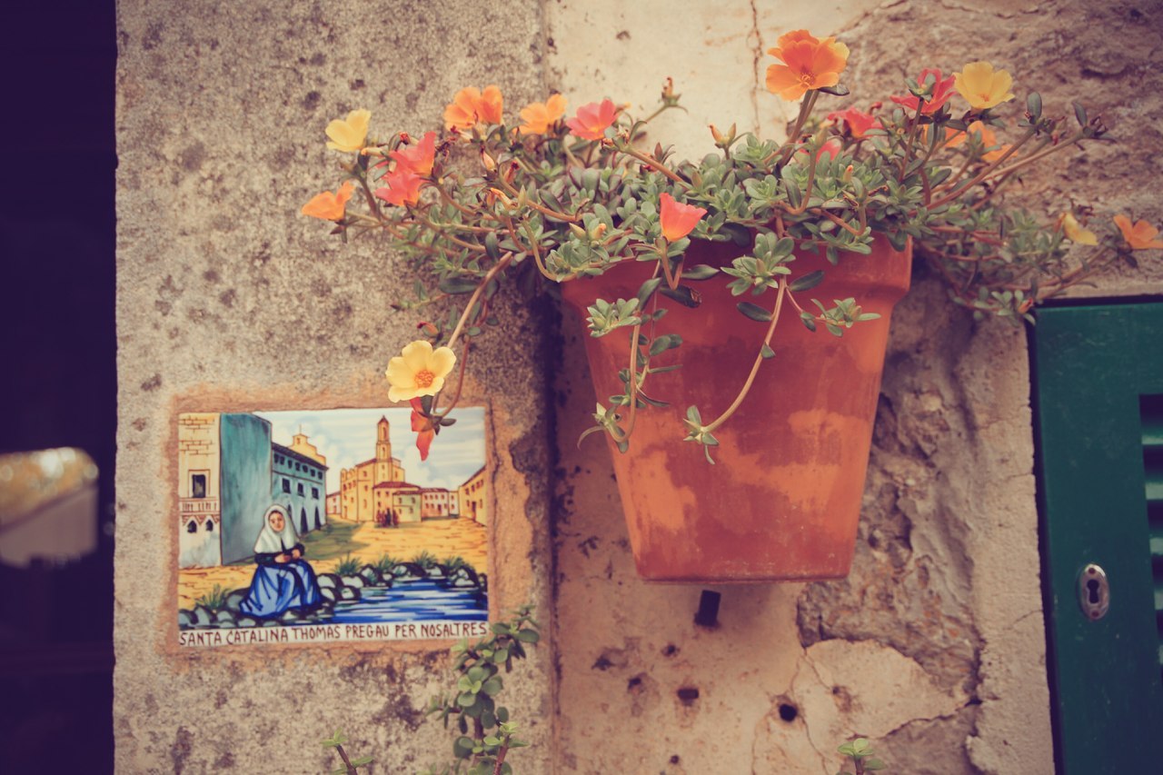 Вальдемоса. Острів Майорка. Іспанія - 5