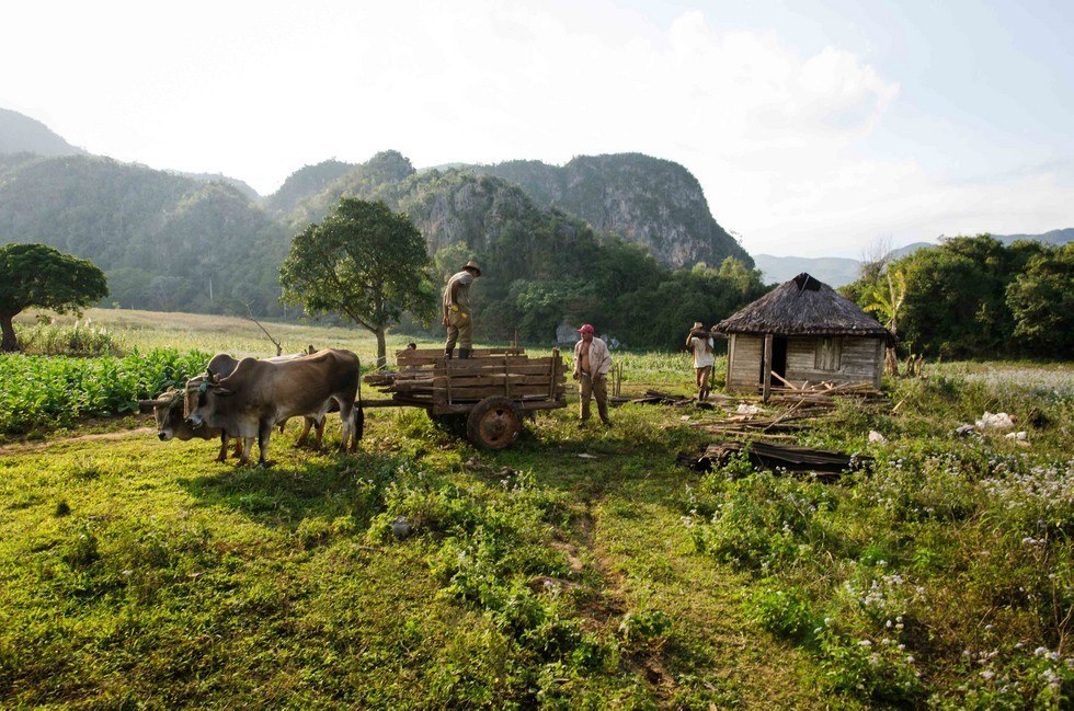 Долина Виньялес. Куба - 5