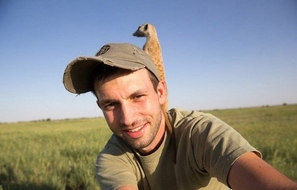 В начале 2014 года британский фотограф Уилл Беррард-Лукас отправился в Ботсвану, чтобы поснимать самых харизматичных существ в Африке — сурикатов! Эти чудесные создание не только произвели огромное впечатления на него, но и стали настоящими друзьями - 6