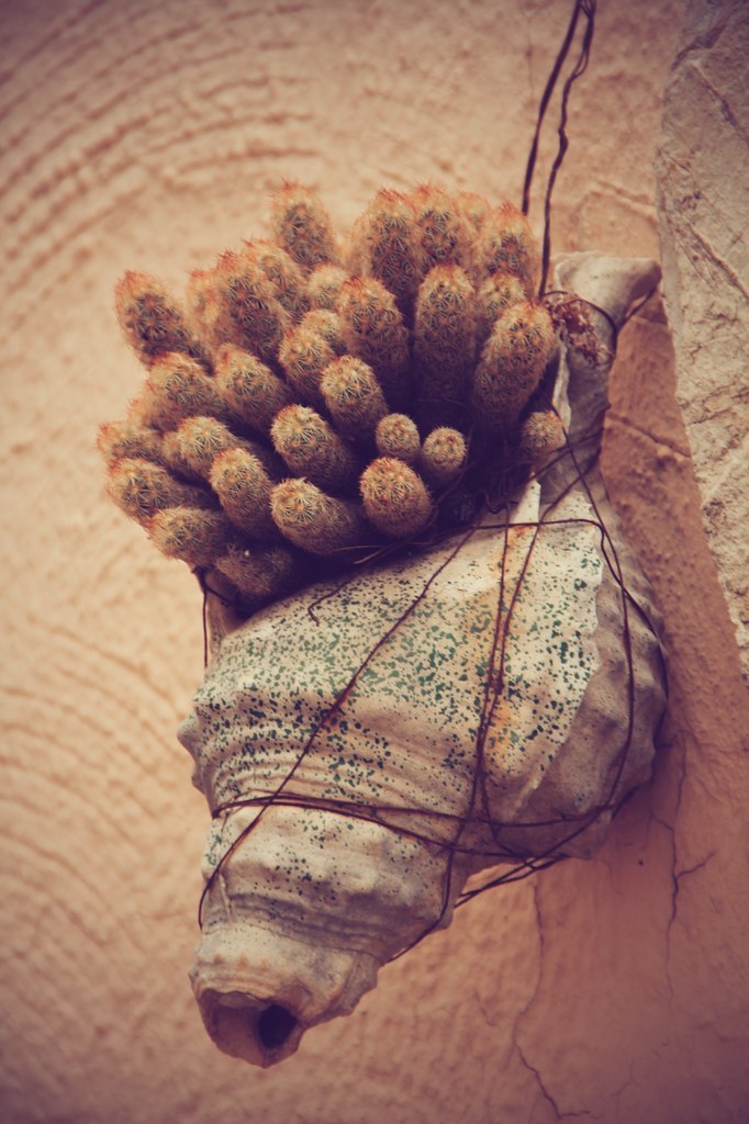 Вальдемоса. Острів Майорка. Іспанія - 7