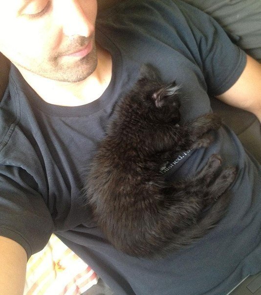 Кошка-путешественница. Большинство кошек станут робкими и пугливыми, когда окажутся на свежем воздухе, но только не Милли. Она стала легендой альпинизма и покоряет вершины со своим хозяином Крейгом Армстронгом