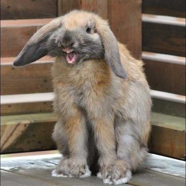 Мне всегда казалось, что только я на фотографиях получаюсь плохо, ан нет. - 4