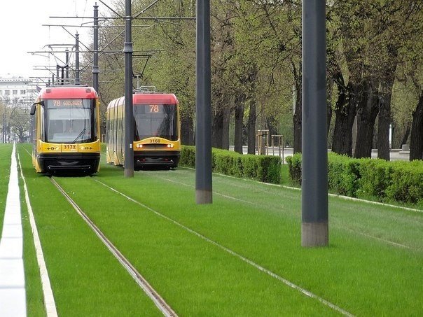 Газон на трамвайных путях, Варшава, Польша