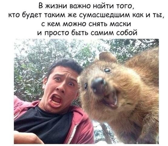 Мотивация - 4