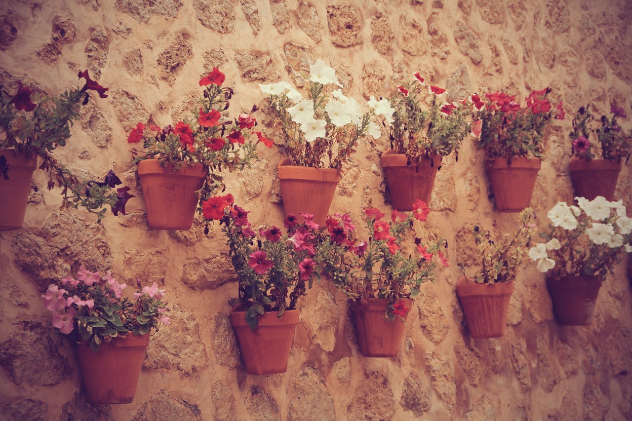 Вальдемоса. Острів Майорка. Іспанія - 8