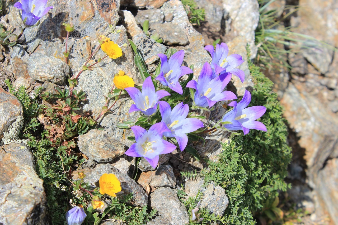 Республика Карачаево-Черкесия (Домбай) - 5