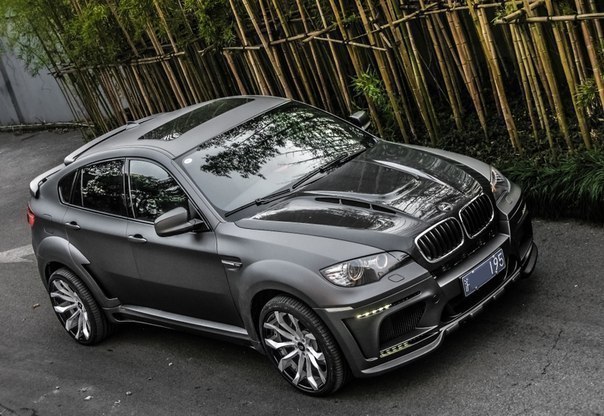 BMW X6M Hamann Tycoon EVO М, 2010
