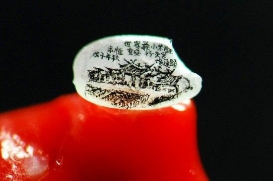 Потрясающие миниатюрные шедевры на зернах риса - 3