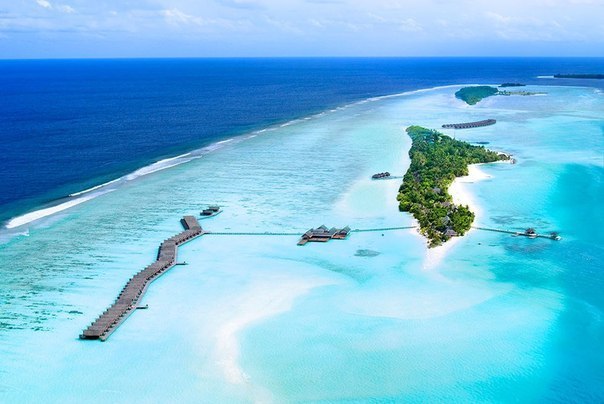 Alifu Dhaalu Atoll - чудовий тропічний курорт на Мальдівах - 9