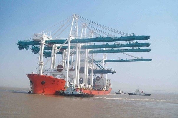 Корабли, которые перевозят другие корабли. Для подобных транспортных операций были созданы корабли-доки. Эти монстры способны с лёгкостью перевозить на своей палубе корабли, тяжёлое оборудование для геологоразведки и даже нефтяные платформы - 6