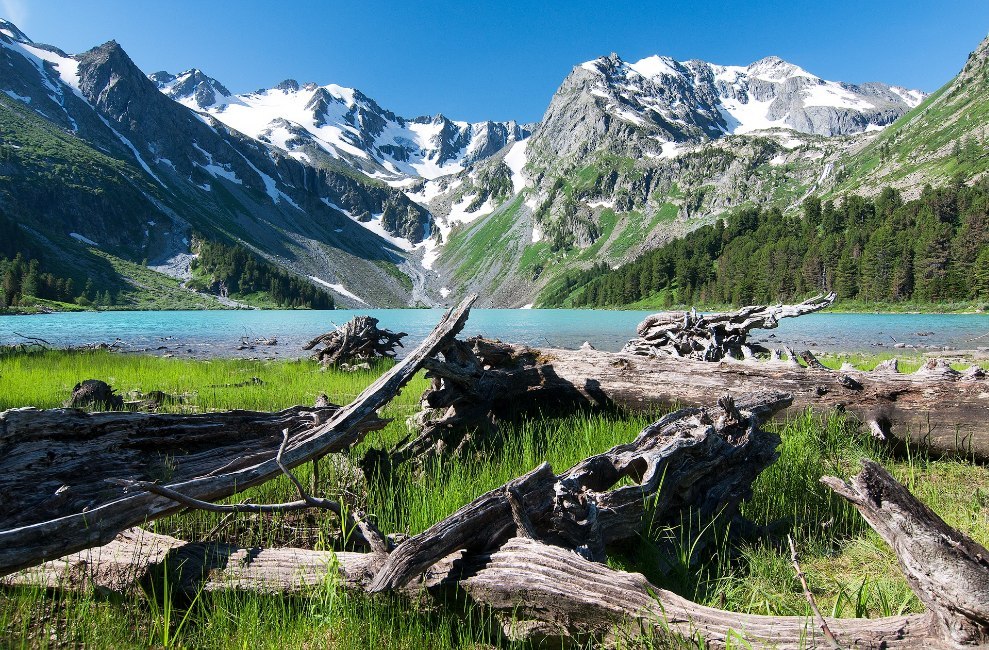 Алтай, Россия - 5