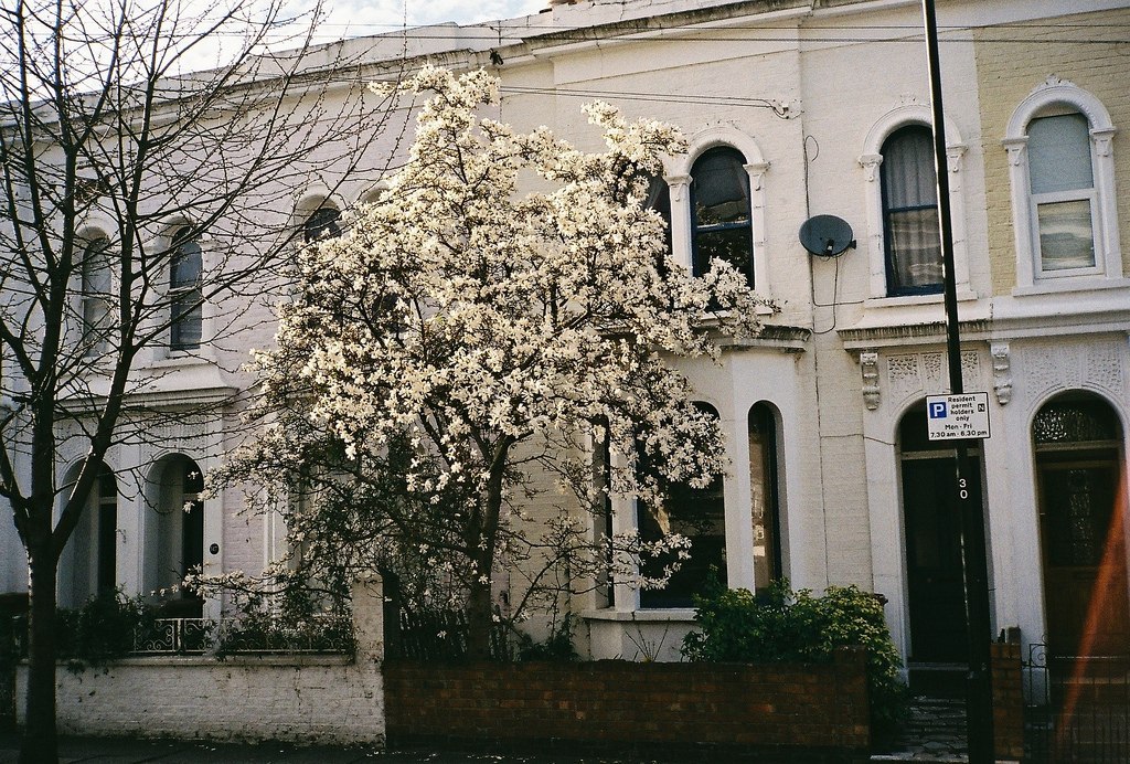 The picturesque and quiet streets of London - 6