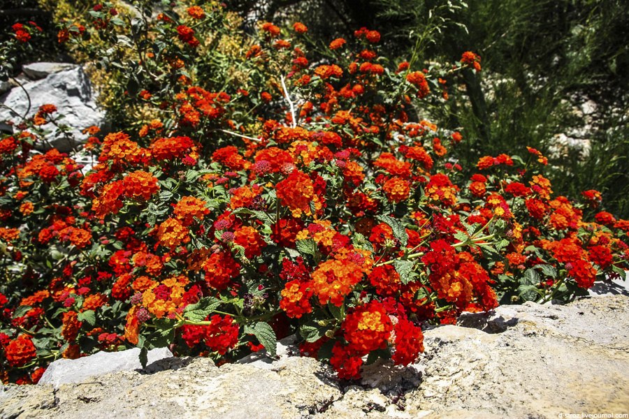 Греція, мила система - 9