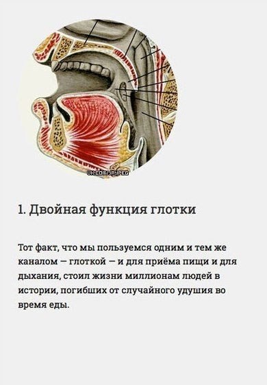 Инженерные ошибки человеческого организма