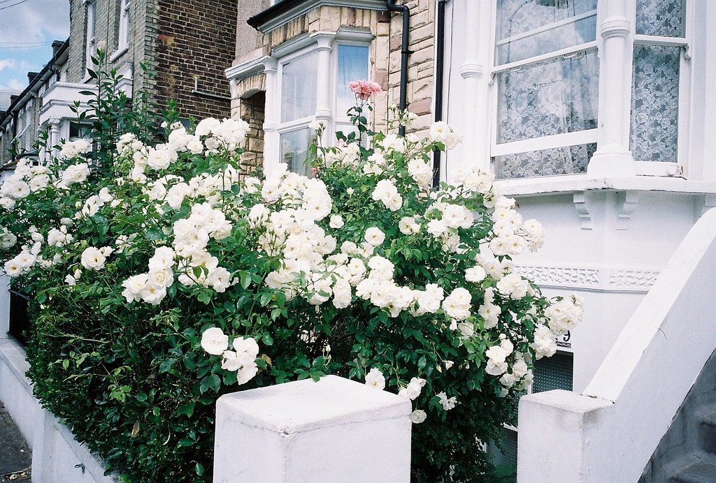 The picturesque and quiet streets of London - 4