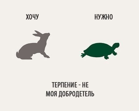 Иллюзорные желания vs. реальные потребности - 6