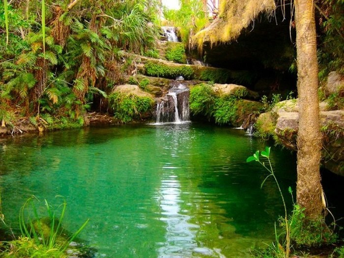 Мадагаскар - 8