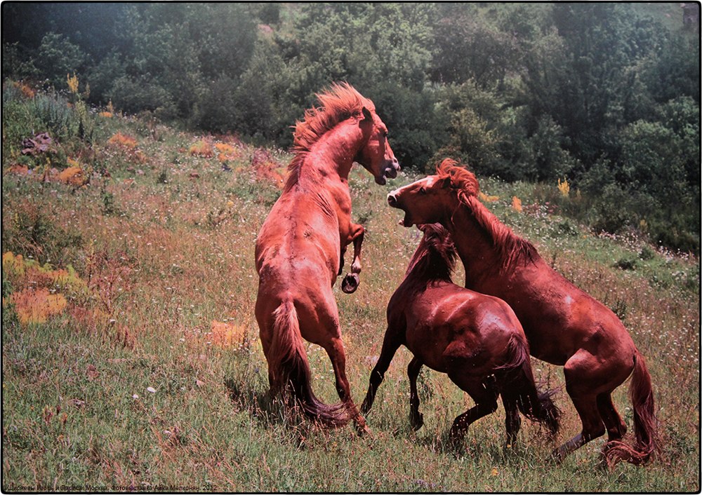 Armenia is a country of stones