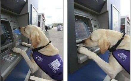 Настоящий друг! - 6