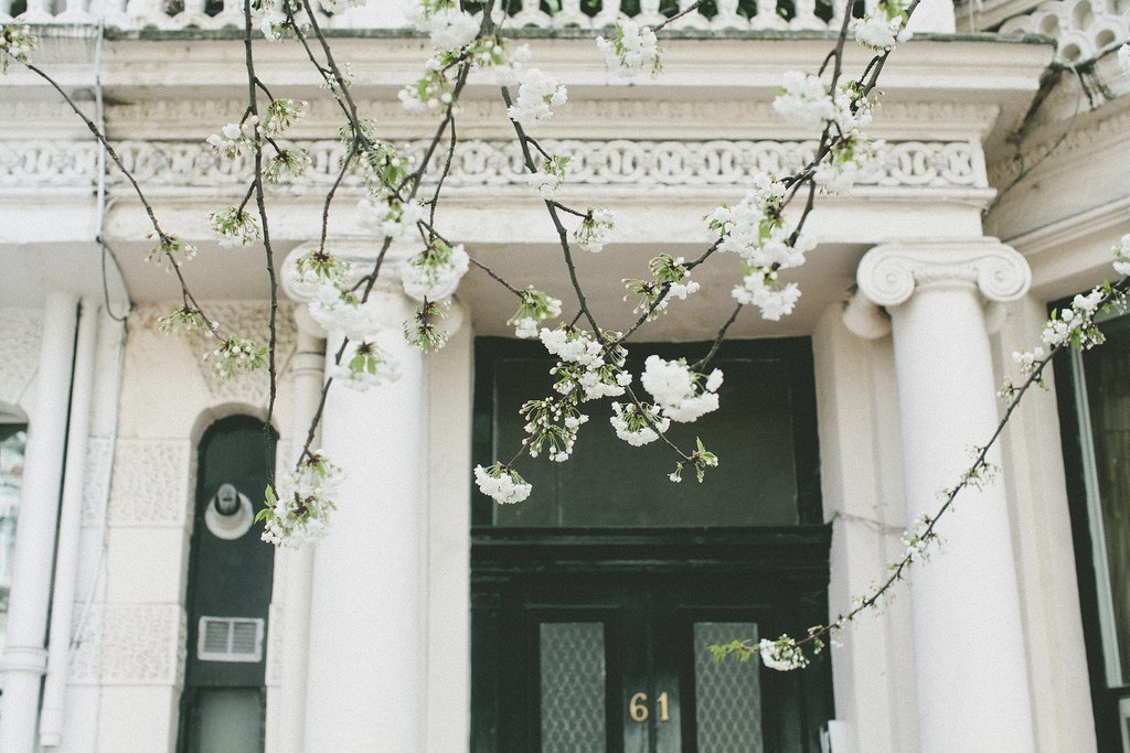 The picturesque and quiet streets of London - 3