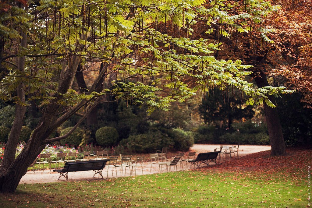 Autumn in Paris - 6