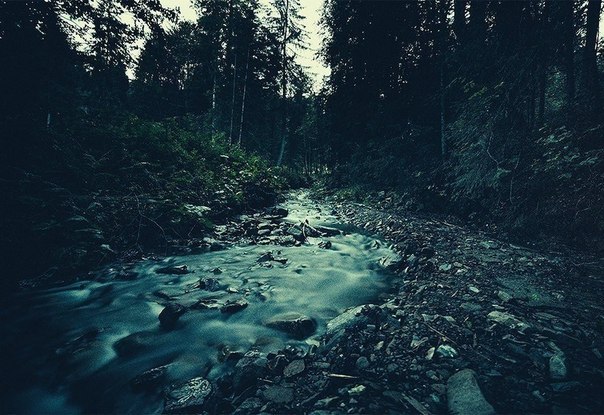 Montenegrin Ridge, the Carpathians. Ukraine - 7