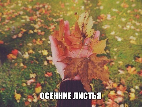 За что я люблю осень - 6