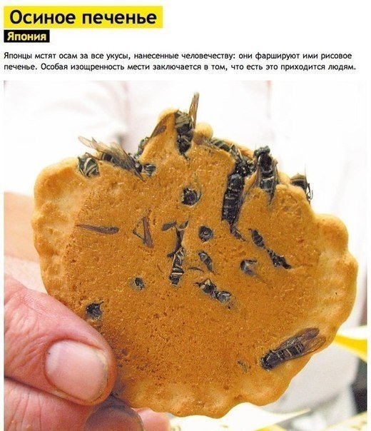 7 cамых ужасных блюд мира - 5