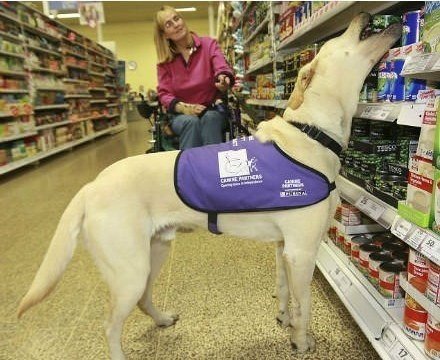 Настоящий друг! - 5