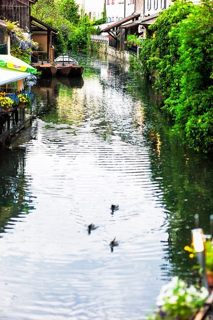 Кольмар, Франция