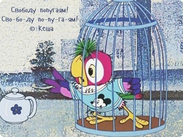 Любимые фразы из советских мультфильмов. Вы точно их знаете и тоже любите - 1