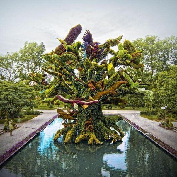 Потрясающие скульптуры из растений - 6