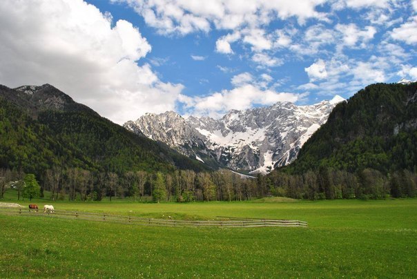 Словения - 5