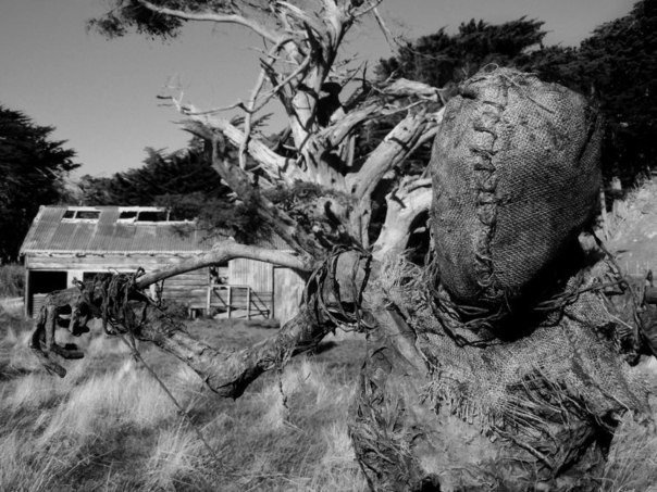 Адское пугало, способное напугать кого угодно. В новой Зеландии живёт талантливый 17-летний парень по имени Теодор Холмстэд-Скотт (Theodore Holmstead-Scott),который увлекается всем, что связано с Хэллоуином, любит мрачные инсталляции и сам же их создает, - 2