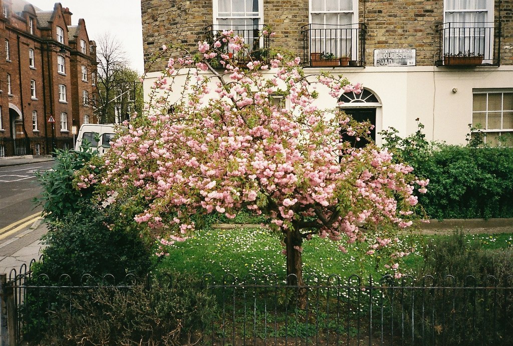 The picturesque and quiet streets of London - 5