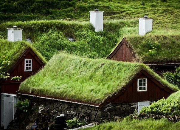 Норвегия и Исландия - 5
