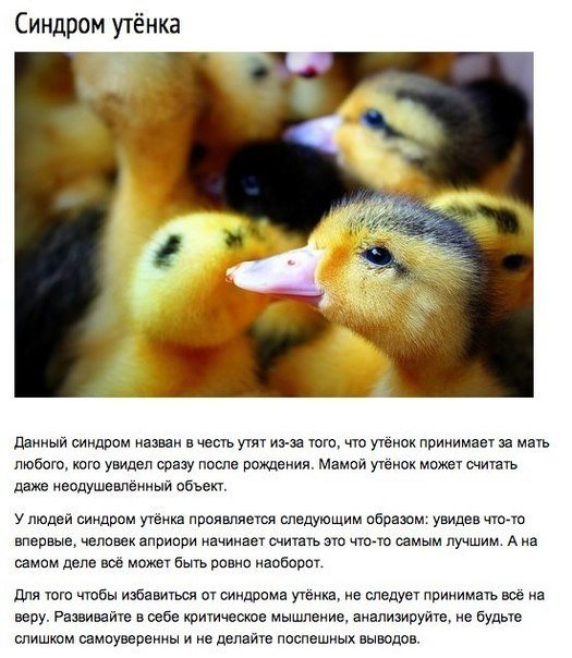 Сам себе психолог: 10 синдромов, о которых стоит узнать.. Предлагаем вам ознакомиться с самыми необычными психологическими синдромами. Многие из них получили свои названия благодаря нашим любимым с детства сказкам, милым сердцу фильмам, знаменитым писател - 9