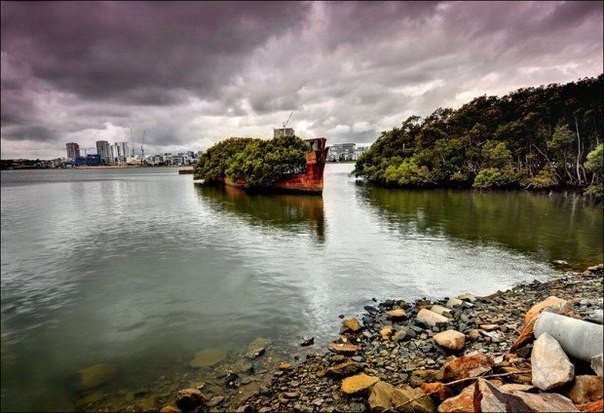 102-летний корабль превратился в плавающий лес