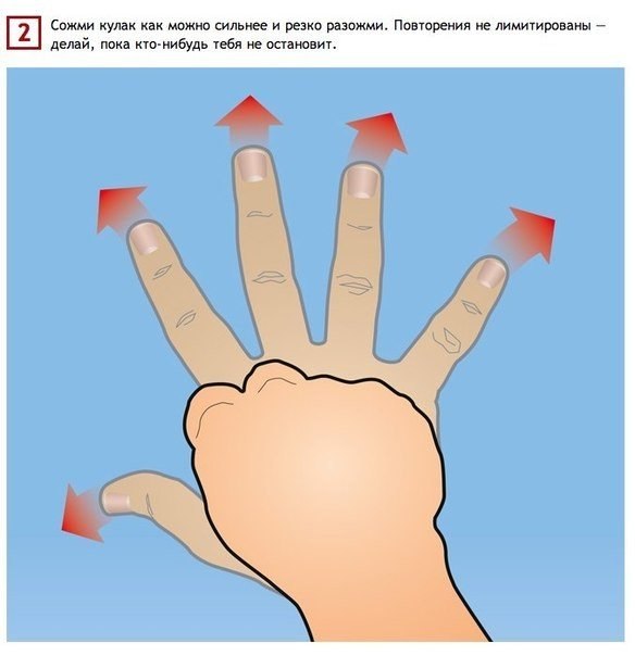 Как натренировать руки, прилагая минимум усилий. Если ты любишь вслед за официальной пропагандой повторять, что стране нужна твердая рука, то почему бы не перейти от причитаний к делу?. Текст: Вероника Ненашева<br>Иллюстрации: Лариса Четверткова. Руки чел - 1