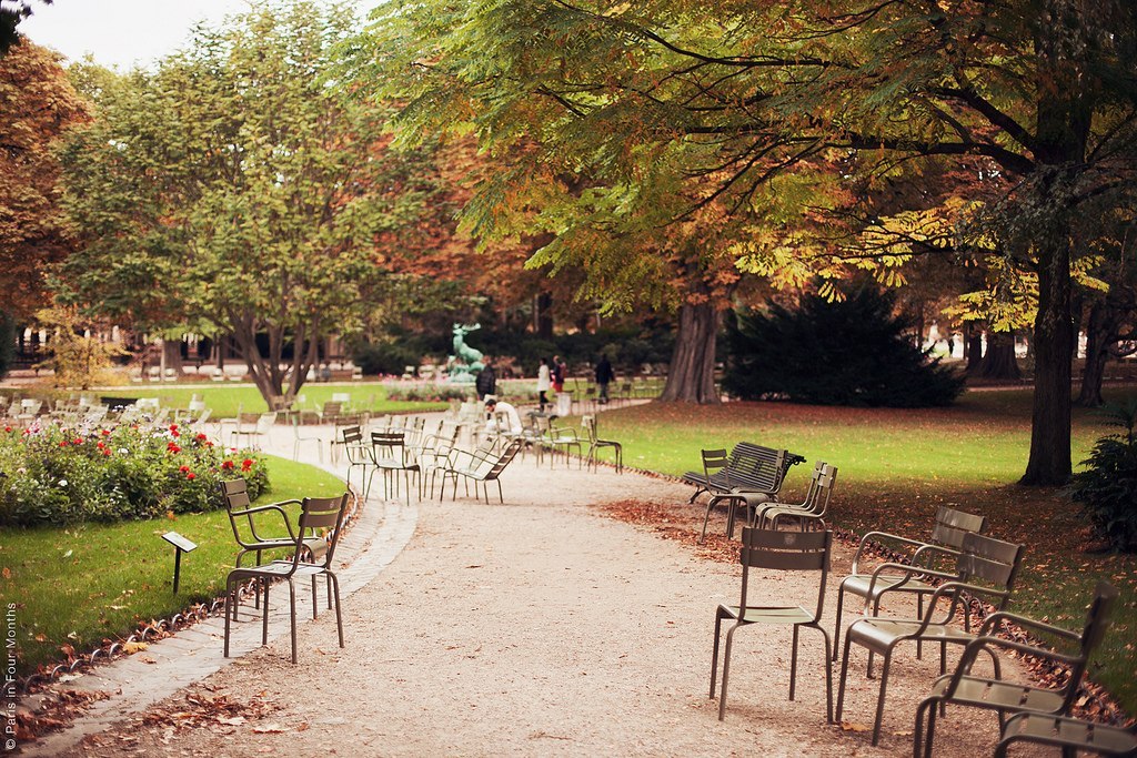 Autumn in Paris - 8