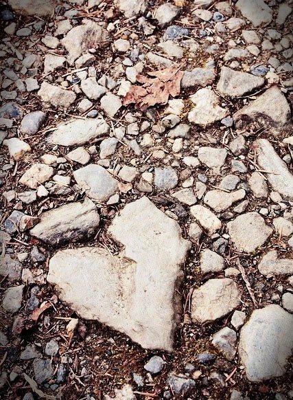 Весь мир дышит любовью