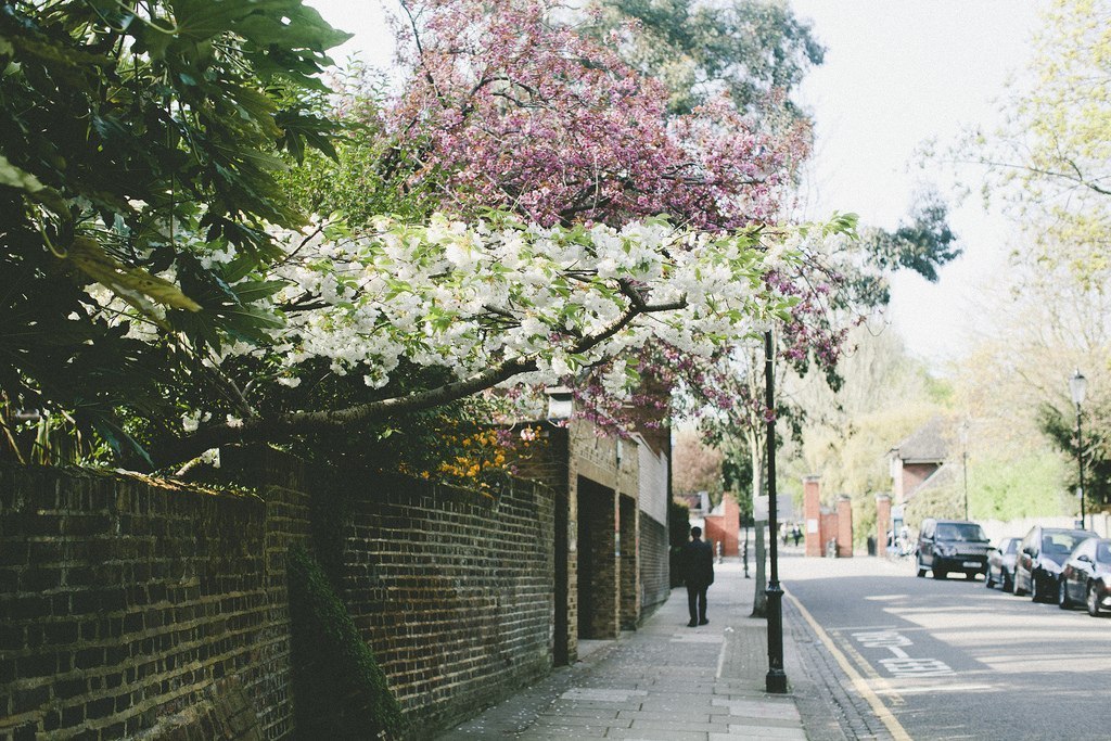 The picturesque and quiet streets of London - 1